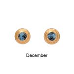 Birthstone Earrings – with Swarovski Crystals (12 Colours)