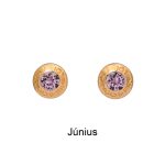 Birthstone Earrings – with Swarovski Crystals (12 Colours)