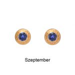 Birthstone Earrings – with Swarovski Crystals (12 Colours)